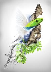 Warpthebird, Digital Art Graphic Design, 2011